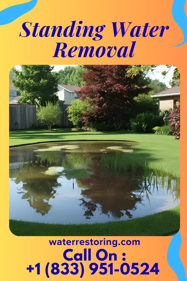 Standing Water Removal in Forrest City, AR